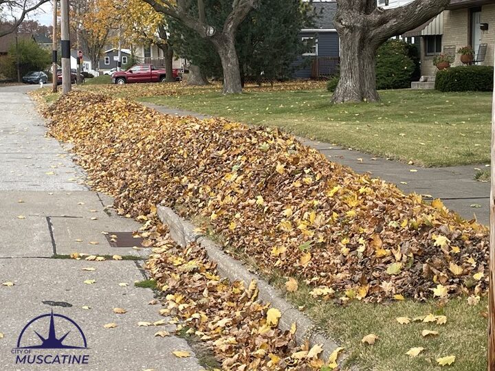 Muscatine to hold single round of spring curbside leaf collection starting Mar. 24