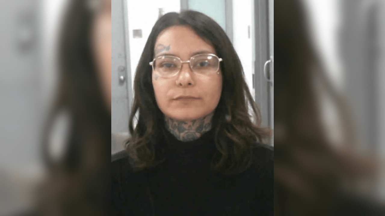 Muscatine woman arrested for weekend vandalism