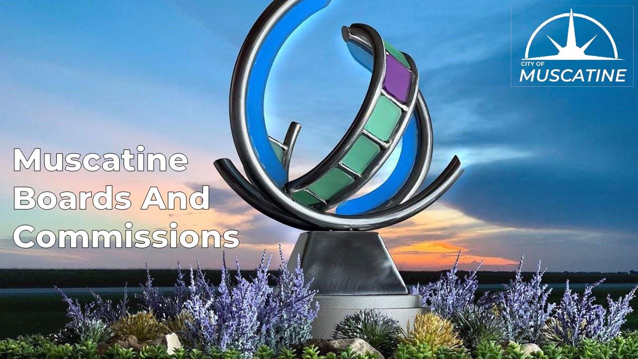 City seeks individuals to fill Board and Commission vacancies